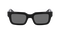 EZRA POLARIZED