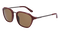 SHINY_OXBLOODLL_BROWN