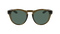 OPUS POLARIZED ROB MACHADO RESIN