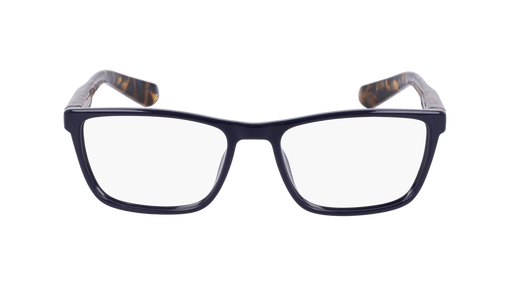 DR2038