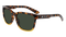 SHINY_TORTOISE_GRADIENTLL_G15