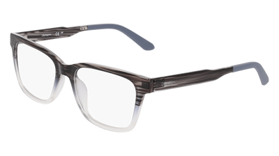 DR9017