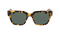 ROWAN POLARIZED