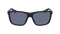 DALE POLARIZED