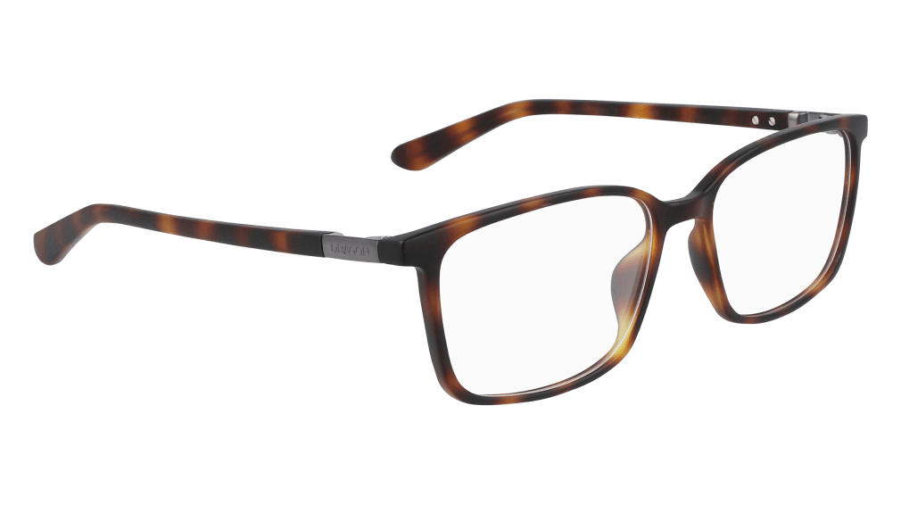 DR2020