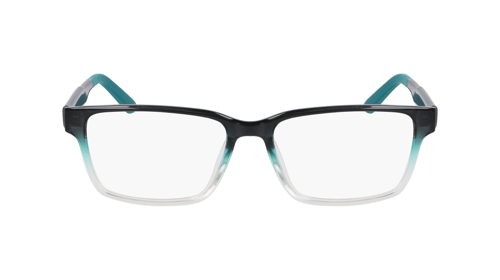 DR9013
