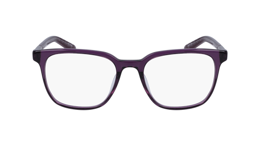 2007 BLUE LIGHT SALE