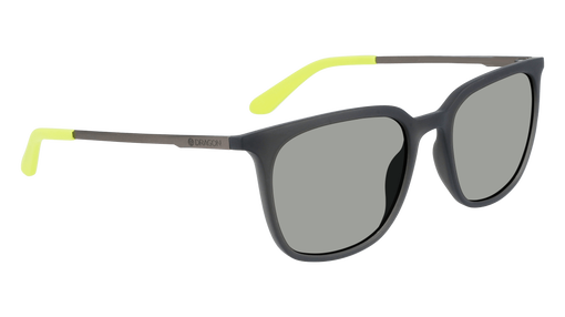 ZIGGY ION SALE
