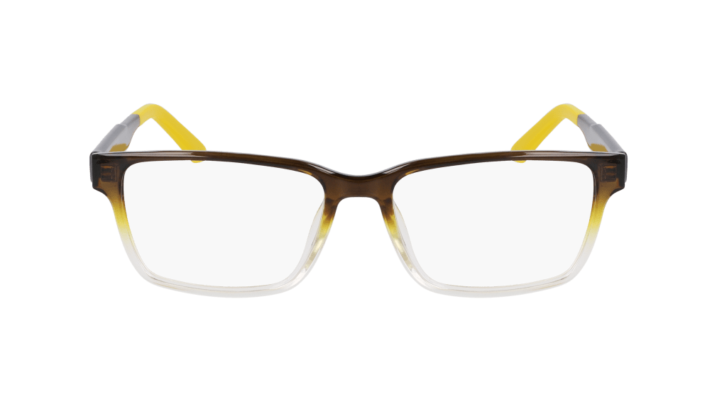 DR9013