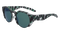 MTE_OLIVE_TORTLL_PETROL_ION