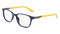 SHINY_SHADOWDIJON