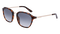 SHINY_TORTOISELL_SMOKE_GRADIE