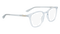 DR2021