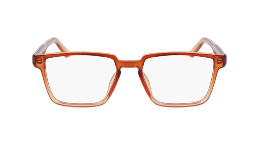 DR9010