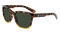 SHINY_TORTOISE_GRADIENTLL_G15