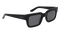 EZRA POLARIZED