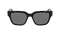 ROWAN POLARIZED