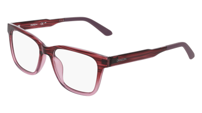 DR9017