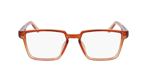 DR9010