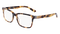 TOKYO_TORTOISE