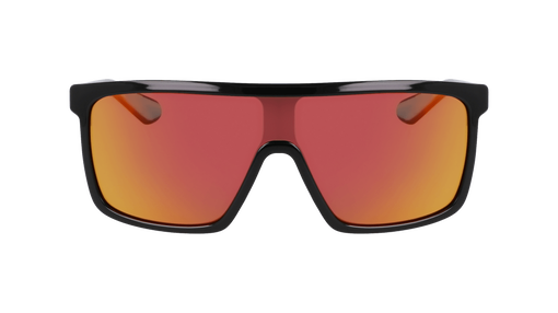 MOMENTUM POLARIZED