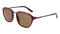 SHINY_OXBLOODLL_BROWN