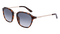 SHINY_TORTOISELL_SMOKE_GRADIE
