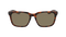 BAILE POLARIZED SALE