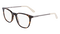 SHINY_TORTOISE