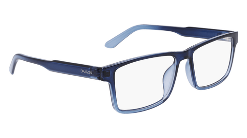 DR9009