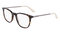 SHINY_TORTOISE