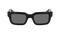 EZRA POLARIZED