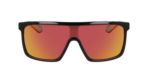 MOMENTUM POLARIZED