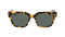 ROWAN POLARIZED
