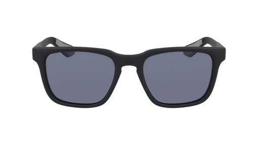 BEECH POLARIZED