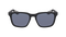 BEECH POLARIZED