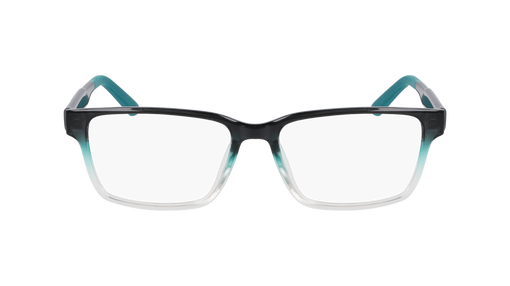 DR9013