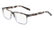 BLUE_TORTOISE_GRADIENT