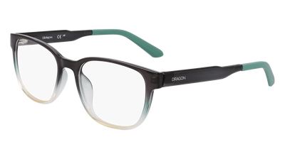DR9016