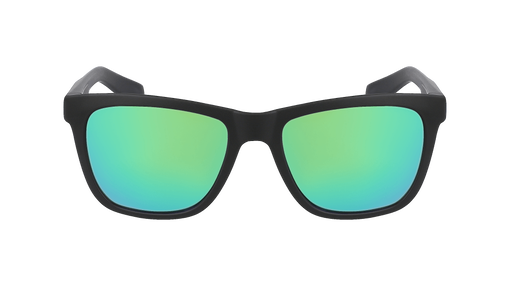 BISHOP H2O POLARIZED