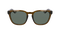 DUNE ROB MACHADO RESIN POLARIZED