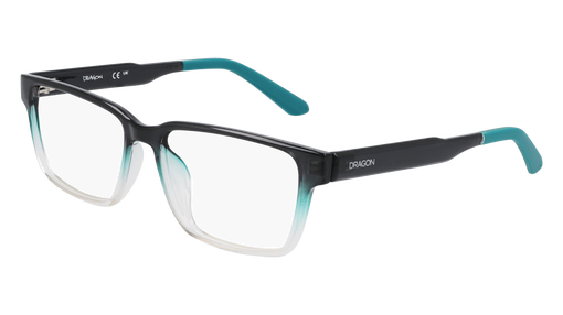 DR9013