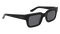 EZRA POLARIZED
