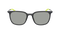 ZIGGY ION SALE