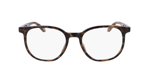 DR9006