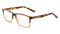 DARK_TORTOISE_CAMEL
