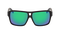 THE JAM H2O POLARIZED