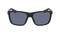 DALE POLARIZED