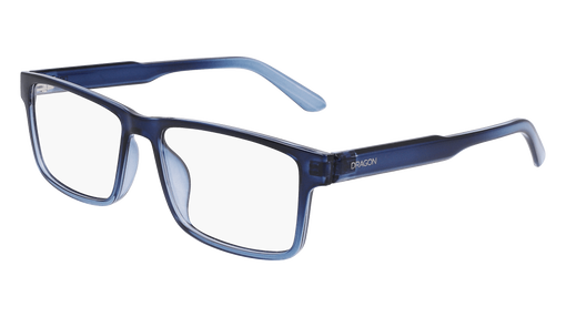 DR9009